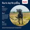 Halti No Pull Harness, Anti-Pulling for Small Dogs, Size Small