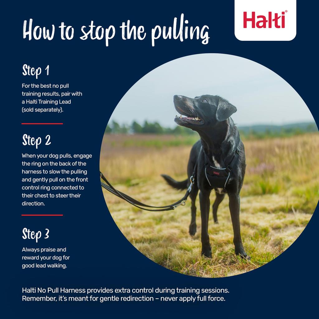 Halti No Pull Harness, Anti-Pulling for Small Dogs, Size Small