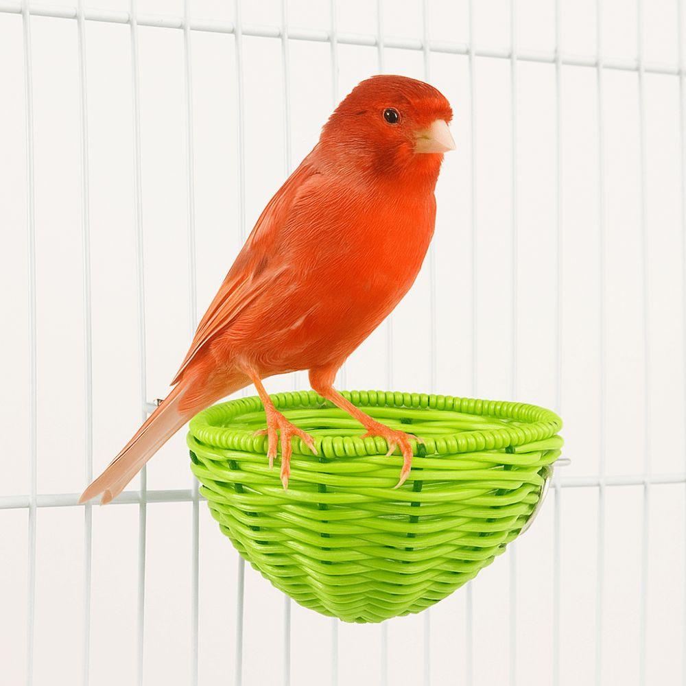 Bite Resistant Hanging Bird House Wear-resistant Handwoven Bird House  Balcony