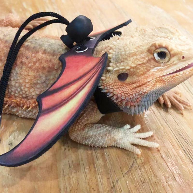 Leather Harness Leash Wing Design Adjustable Outing Walking Leash For Bearded Dragon Lizard Reptiles
