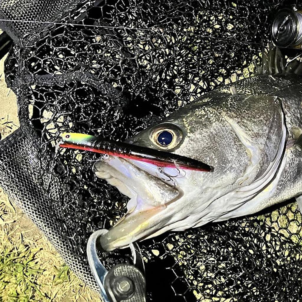 OSP Sea Bass Pencil Bait TSUKIYOMI122F Köderfisch (Crystal CB25)