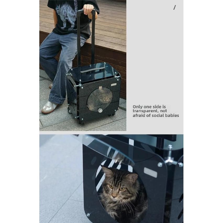 Good-looking Pet Trolley Cat Bag Out Portable Clear Cat Suitcase Large Capacity Dog Carrier Air Suitcases Transport Pet Products