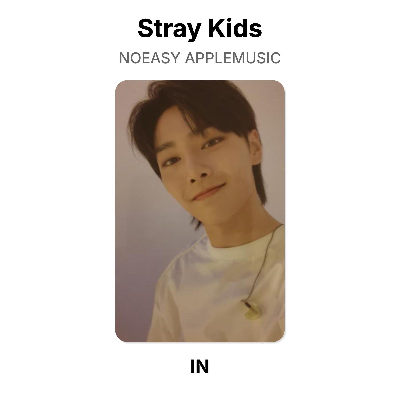 Stray Kids NOEASY APPLEMUSIC Official Photocard I.N