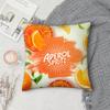 AAperol SSpritz Pillow Case Square DoubleSided Printing Sofa Cushion Cover Pillowcase Bedroom Bedside