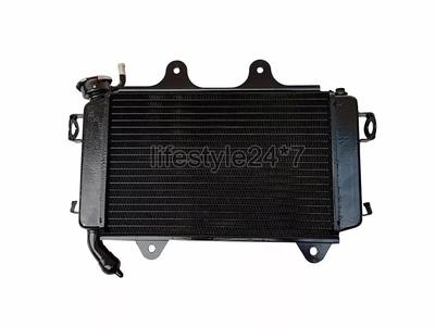 Exterieur accessoires – Radiatorroosters en andere roosters