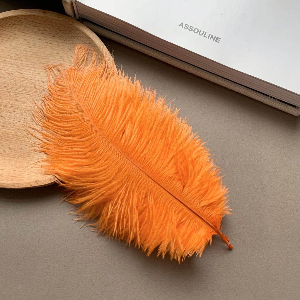 Color ostrich hair 15-20CM ostrich feather Internet celebrity photo background wall feather cake flower arrangement DIY decoration