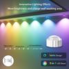 RGB Outdoor Eaves Lights - 50/100ft with 30/60 LEDs, Music Sync Party Lights