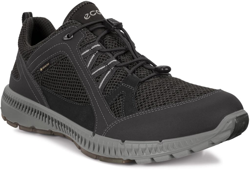 Ecco Terracruise II M Black Trekking Shoes