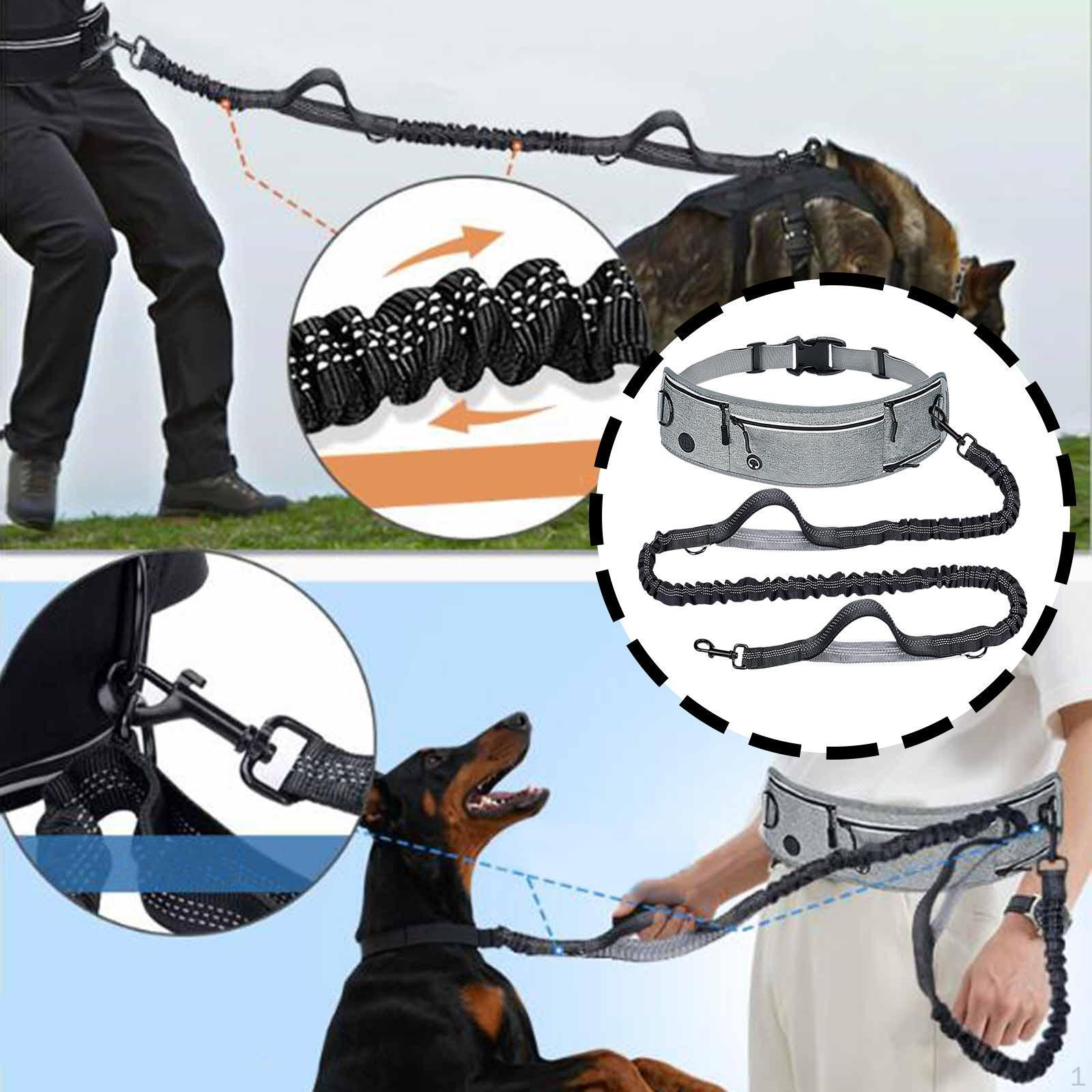 

Handsfree Dog Leash Double Padded Handles with Pockets Reflective for Outdoor Trip серый