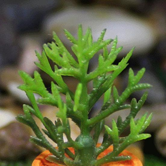 3 sztuk / zestaw Fałszywe Bonsai Krajobraz Fuax Dekoracyjne Delikatne Ładnie wyglądające Mikro Soczyste Wystrój Domu