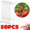 10/50pcs J Shaped Fruit Cherry Tomato Ear Hook Garden Vegetable Plant Grape Support Vines Fastener Clips Trellis Fixed Buckle Hook