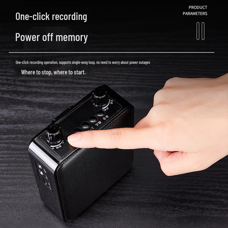 BeeAmplify: Wireless Bluetooth Microphone & Loudspeaker for Teachers, Portable Classroom & Public Address System with Playback