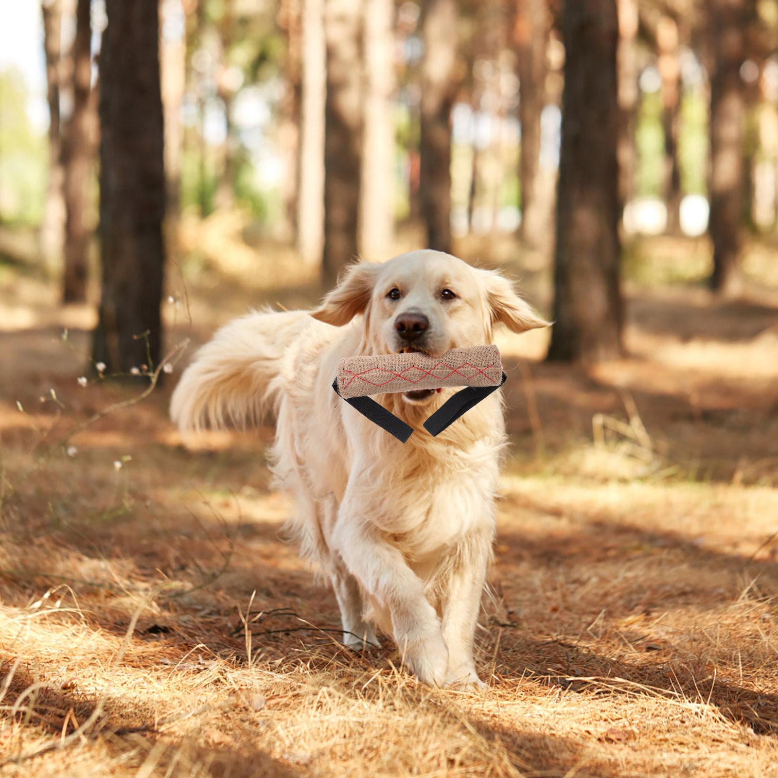 Dog Bite Tug Material 2 Handles Medium Large Dogs Puppy Training Interactive Play Pull Dog Bite Tug S