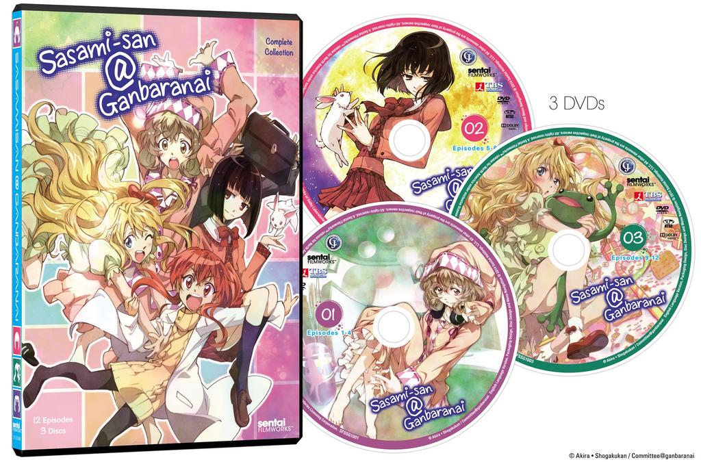 Komplette Sammlung Sasami-San Ganbaranai [DVD]