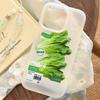 Green Vegetables Matte Transparent Frosted Shockproof Phone Case For iPhone 17 16E 16 15 14 Plus 13 12 11 Air Plus Pro X XR Max