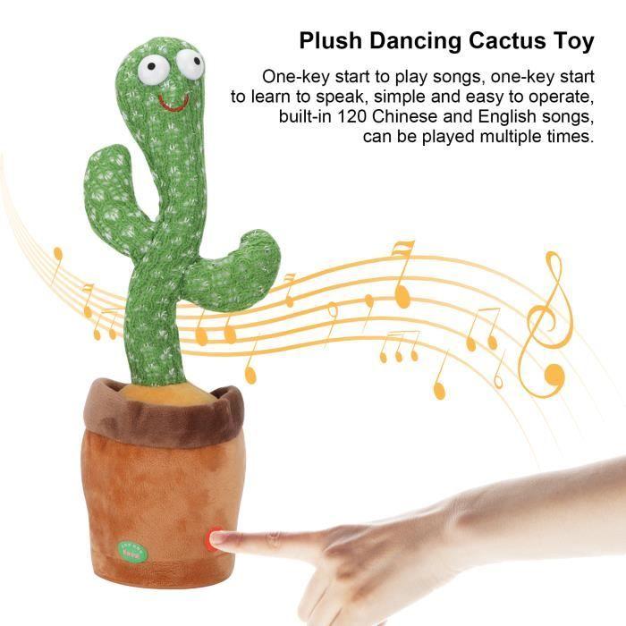 Peluche - ABI SHOP-STORY - Cactus Gringo - Danse et Chante - Enregistrement - 120 Chansons