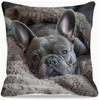 Funda de Almohada con Perro Bulldog Francés sobre Manta Peluda - Funda de Almohada Decorativa con Cremallera Impresa por un Lado Decoración de Oficina, Decoración de Perro F