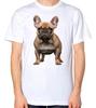 Französische Bulldogge T-Shirt Herren Damen Unisex Süßer Hunde Top