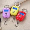 Digital Hanging Scale with Battery New 25Kg X 5g  Mini Electronic Luggage Hook Scale LCD Backlight Kitchen Steelyard