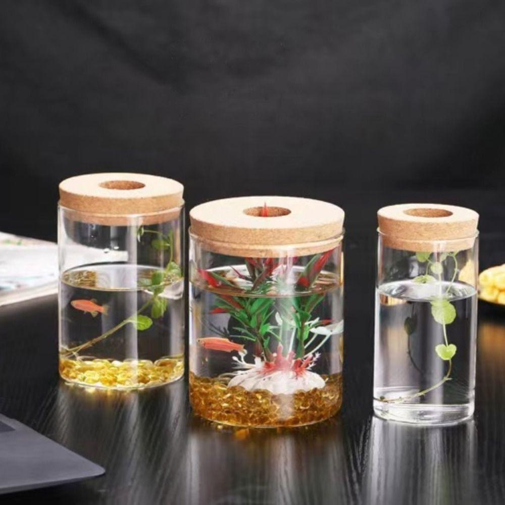 Transparent Hydroponic Plants Flower Pot Thickened Round Transparent Glass Pots Mini Glass Ecological Glass Vase Living Room