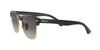 0RB4175 Japan 57 [Ray-Ban] 877/M3 (FREE Size)