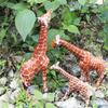 Zoo Animals Deer Animals Action Figures Simulation Animals Animals Models Miniature Figurines