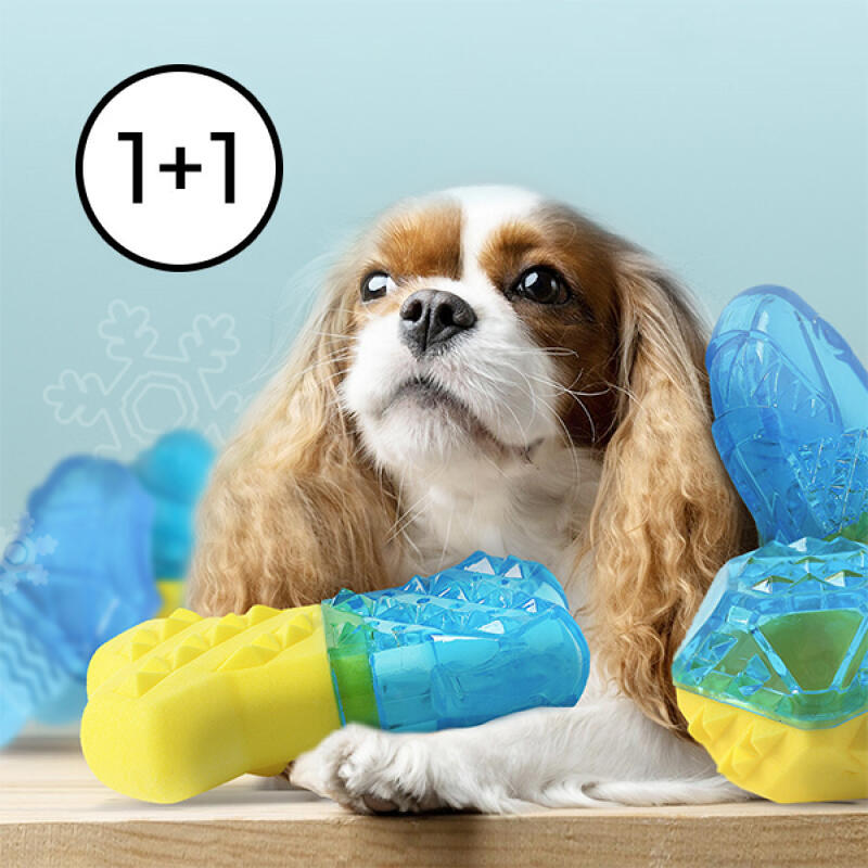 1+1 Summer Water Play Ice Toys 4 Types 01. Bones 1+1