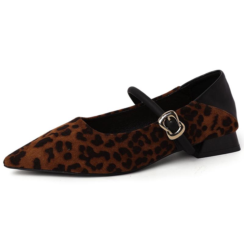 Street Style Leopard Women Mary Jane Shoes Ladies Concise Pointed Toe Pumps Spring Autumn Women's Commuting Shoes