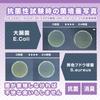[Disaster Prevention Specialist Supervised] 24-Hour Emergency Toilet, 50 Uses, Made In Japan (Antibacterial & Deodorizing Solidifying Agent) Emergency