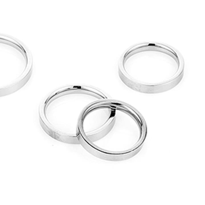 Glory_Arden [Unisex] Surgical Steel Ring 4Mm / Gspr-003-1 / Size 10