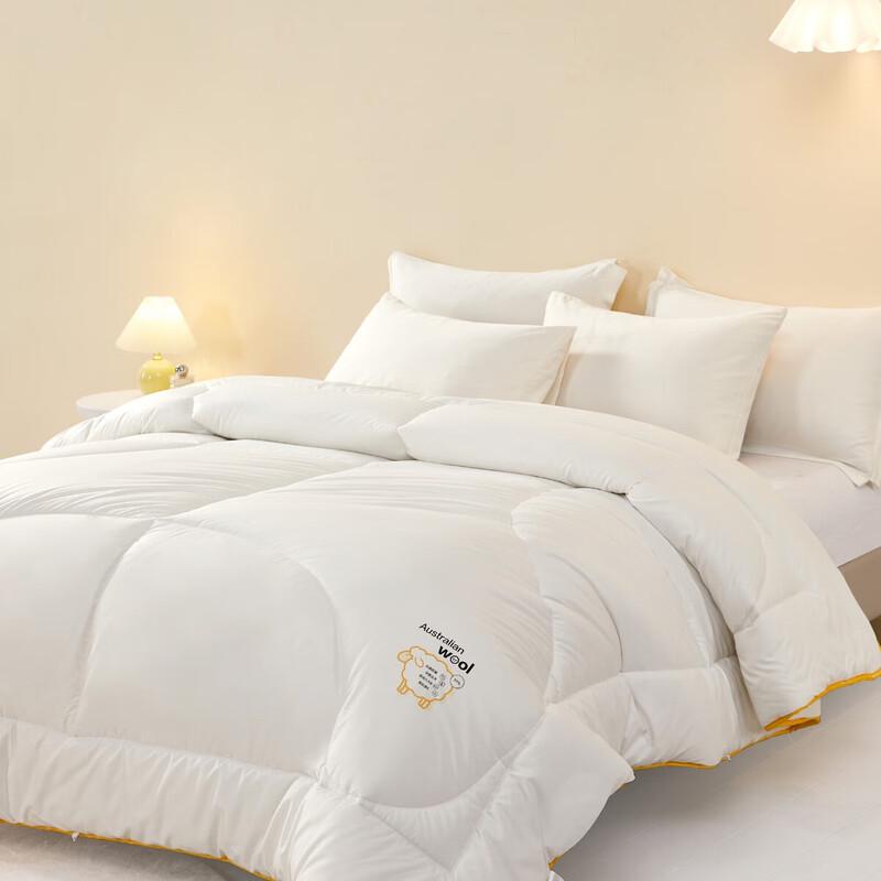 Mercury Home Textiles Thickened Antibacterial Australian Wool Quilt