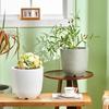 Lieve Minimalist Concrete Planter