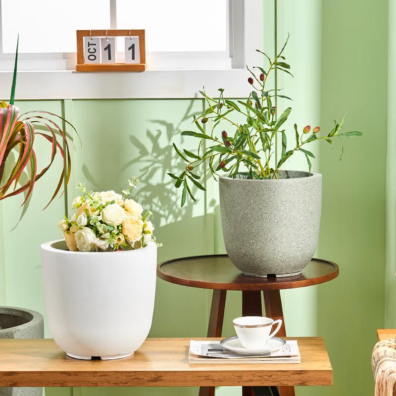 Lieve Minimalist Concrete Planter