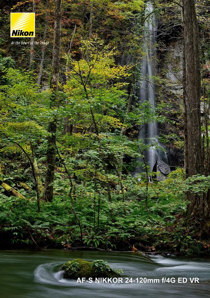 Nikon NIKKOR ED VR Standard Zoom Compatible AF-S 24-120mm f/4G Lens, Full-Frame