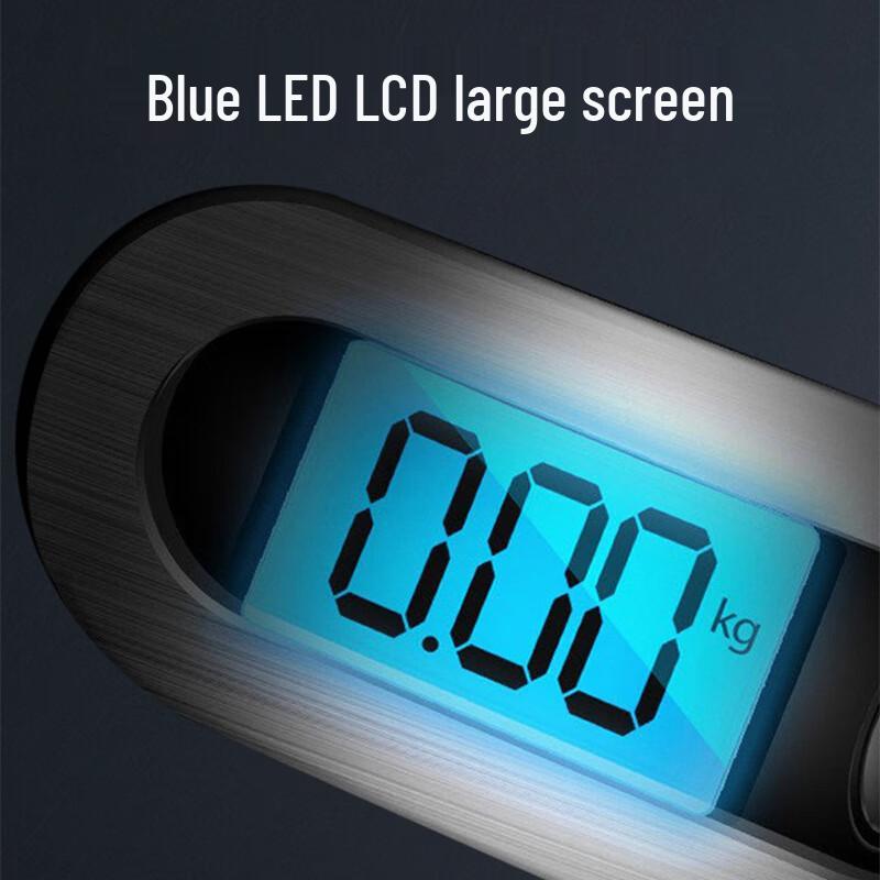 Portable Digital Hanging Scale (CN Version)