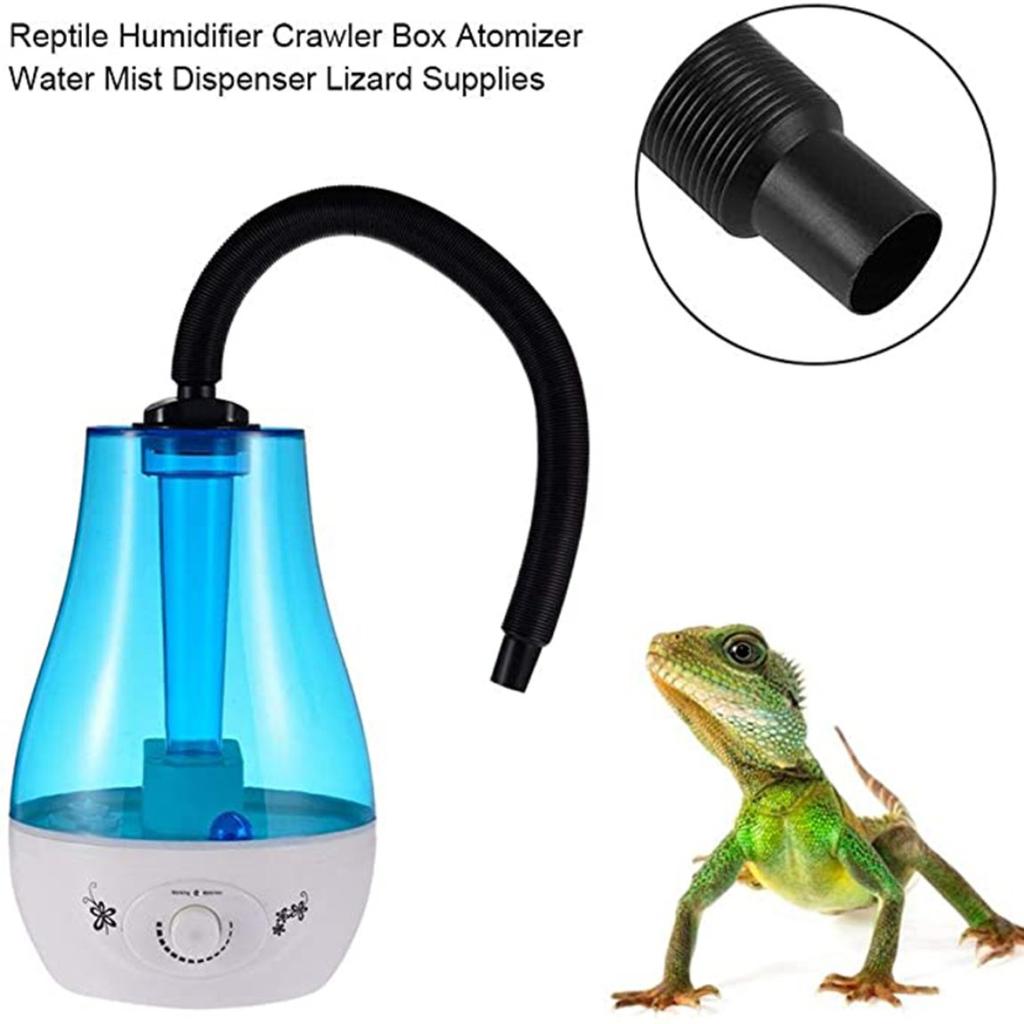 lizard humidifier