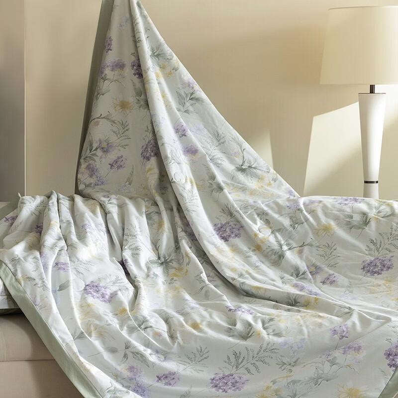 Belle Anna Digital Wash Ice Silk Summer Quilt