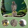 Decorative Garden Eagle, Realistic Imitation, Bird Repellent, Fake for Lawn And Garden.