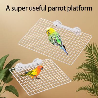 Pássaros – Brinquedos para pássaros