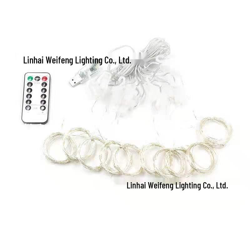 LED Copper Wire Curtain Fairy Lights with Remote Control for Christmas and Holiday Decoration