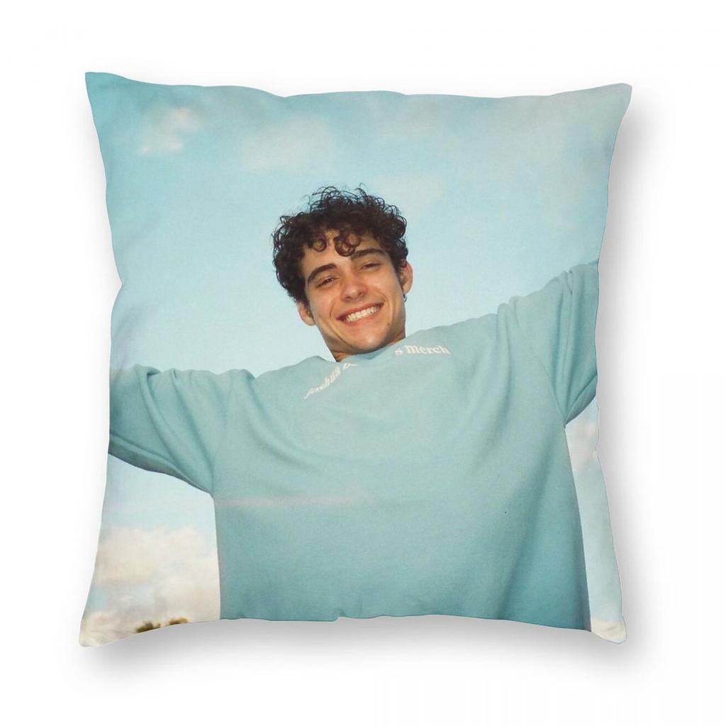 Joshua Bassett Quadratisches Kissenbezug Polyester Leinen Samt Muster Reißverschluss Dekorative Wurfkissenhülle Sofakissenhülle 45X45
