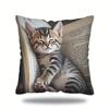Contemporary Dozing Kitten Square Pillow Cover Cute Cat Sleeping on Open Book Pillowcase Decorative Cushion Case Home Decor