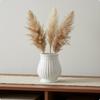 White Vase Minimalist Ceramic Look for Living Room, Desktop