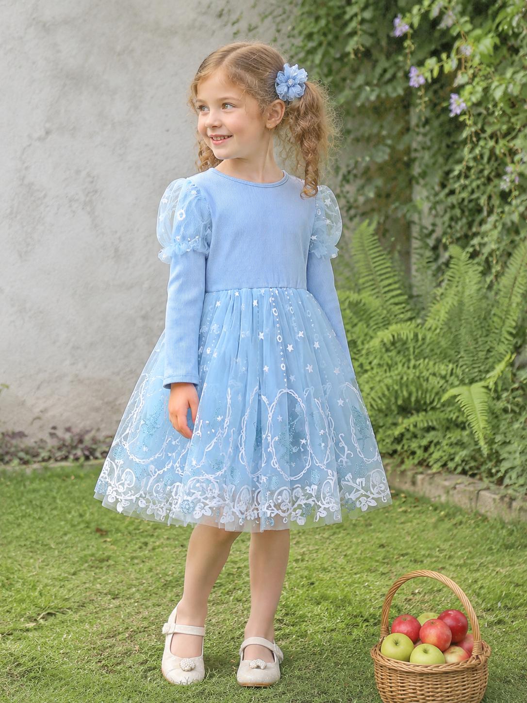Girls Light Blue Ribbed Long Sleeve Dress, Puff Sleeve Star Embroidery Tulle Princess Skirt 4Y синий