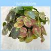 Artificial Plastic Plants For Home Decor Photography Props Wedding Decoration