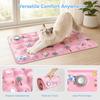 Cartoon Pet Cooling Mat Anti Bite Cool Nest Portable Dog Cold Bed Mat  Summer