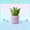 Planta Aloe Cogumelo Tulipa Begônia Design de Cerâmica Brinquedo de Pelúcia Para Decoração de Casa e Presente