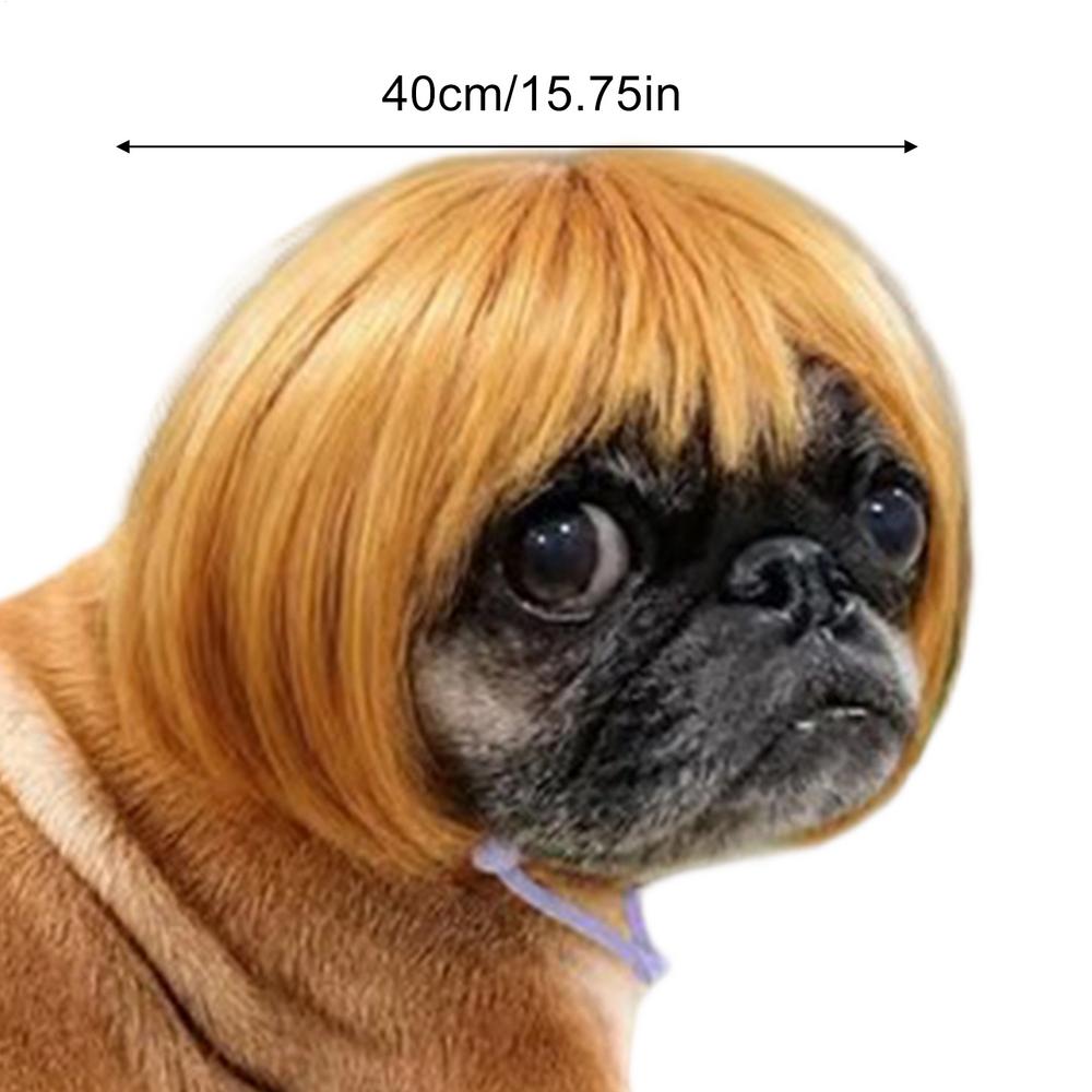 Cat Wigs Funny Adjustable Human-Style Bangs Pet Costume Party Pet Bob Wigs For Small Medium Large Breeds Halloween Holiday Party