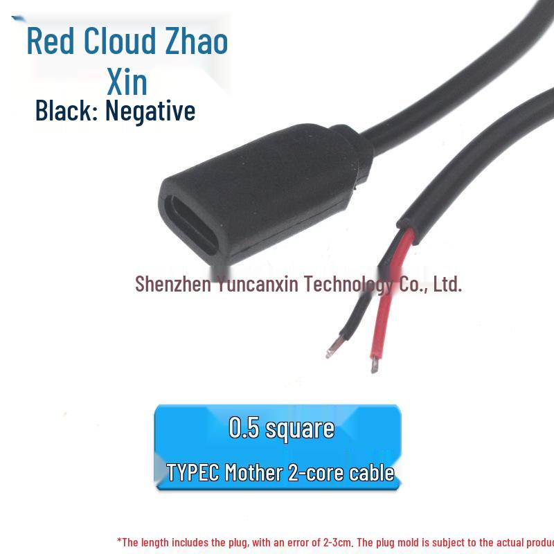 0.3m Type-C Dual-Core 3A Fast Charging Cable with Tinned USB-C Male Connector