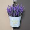 Hanging Small Iron Bucket Decorative Plant Pots Plant Hanging Pots Wall Hanging